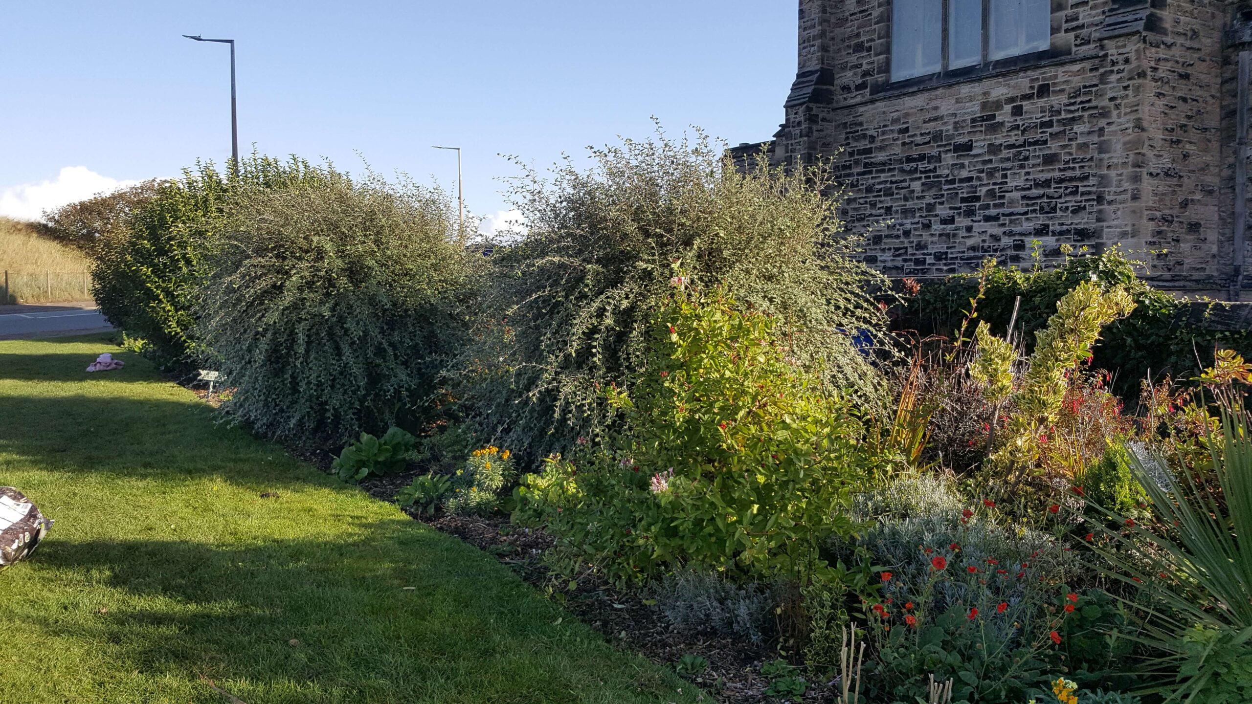 Nature Border 2